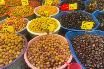 Zeytin alırken nelere dikkat etmeli; Oleolog Kıvrak açıkladı