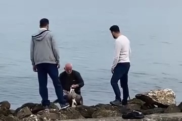 Mudanya sahilinde oltaya takılan martıyı vatandaş kurtardı