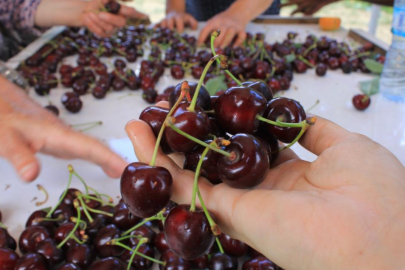 15 Aralık'ta okullarda "Coğrafi İşaret Günü" kutlanacak