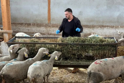 Bursa'da şap mağduru üreticiler destek bekliyor