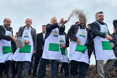 Harmancık'ta yanan 4 bin 256 hektar alan ağaçlandırılıyor