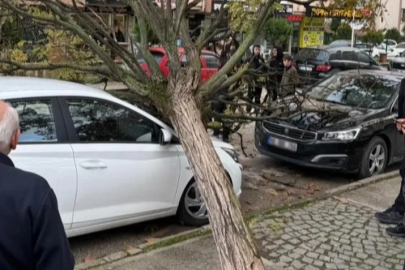 Bursa’da devrilen ağaç korku dolu anlar yaşattı