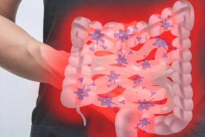 Bağırsak sağlığı, uzun yaşam üzerinde belirleyici rol oynuyor