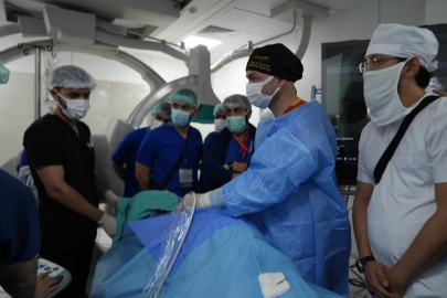 "İğneyle" tümör tedavisine uluslararası ilgi: Canlı canlı izlediler