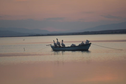 Karacabey'de çeltik ekimi yasaklandı