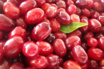 Soğuk algınlığına doğal çözüm: Kızılcık