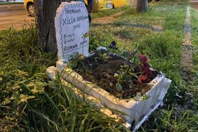 Bursalı taksicilerden vefa...Ölen muhabbet kuşları için mini mezar yaptılar