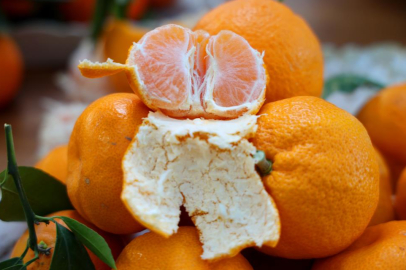 En ucuz meyve mandalina: Dalında 3, pazarda 5 lira