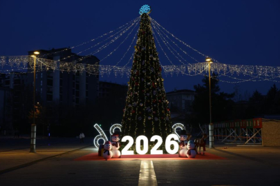 Nilüfer yeni yıla hazır