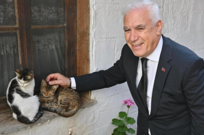 Bursa Büyükşehir Belediyesi patili dostların yanında