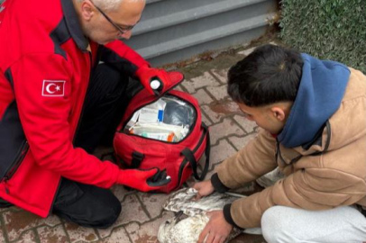 Denizde can mücadelesi: Martıyı 911 ekipleri kurtardı