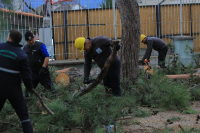Osmangazi'den lodosa karşı etkin müdahale