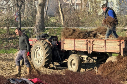 Kurulan her meyve bahçesinde "Bursa" imzası var