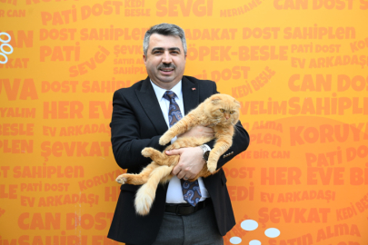 Yıldırım'dan patili dostlara sıcacık yuva