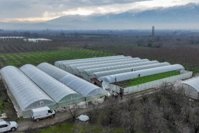 Lodostan zarar gören seralara Büyükşehir desteği