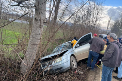 Bursa'da kontrolden çıkan otomobil ağaca çarptı: 1 yaralı