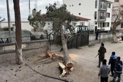 İznik'te okulların tatil olması faciayı önledi
