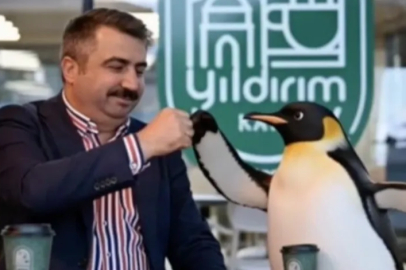 Penguen sürüden ayrılırken belediyeler boş durmadı
