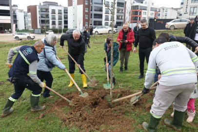 Belediye Başkanından yeşil alan talebine hızlı cevap