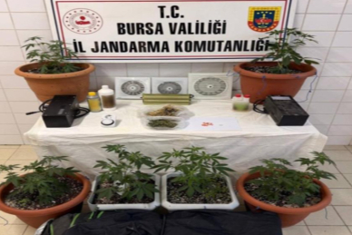 Bursa'da uyuşturucu operasyonu: 1 tutuklama