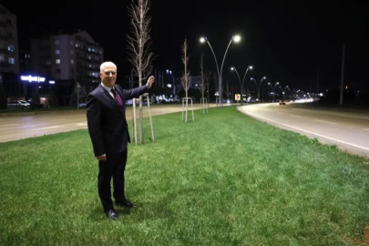 Çalı yolu Büyükşehir'le aydınlandı