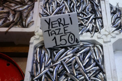 Hamsi bu defa şaşırttı: Tezgahlar yeniden şenlendi