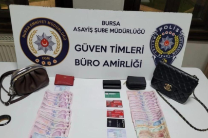 Bursa'da bebek arabasındaki çantayı çalan şahıs yakalandı