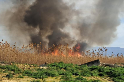 İznik'te rüzgarla birlikte sazlık yangını büyüyor