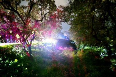 Mudanya’da kazadan kaçan sürücü zeytinliğe daldı