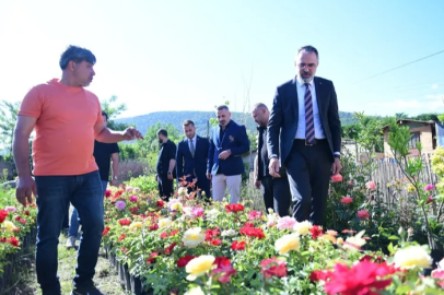 Süs bitkileri üretimi Kestel'den dünya pazarına açılıyor