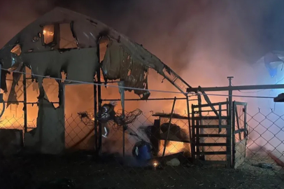 Bursa'da çiftlikte yangın: 580 kanatlı hayvan telef oldu