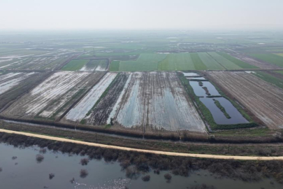 Karacabey çiftçisi yeni sezon ekimleri için suların çekilmesini bekliyor