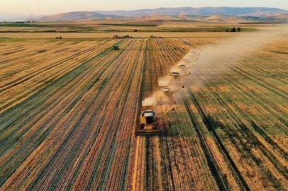 Tarım-ÜFE yıllık yüzde 40,10 arttı