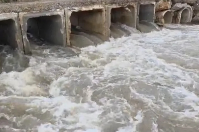 Kuruyan dere coştu, İznik Gölü’ne umut oldu