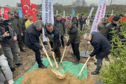 Bursa'da 2 yıl önce yanan 80 hektarlık alan ağaçlandırıldı