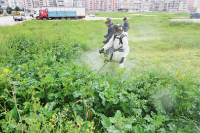 Osmangazi'de bahar temizliği