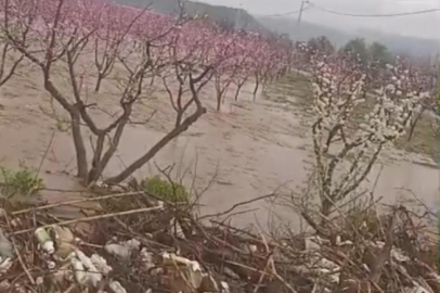 Kuraklığın ardından gelen sağanak İznik'i vurdu