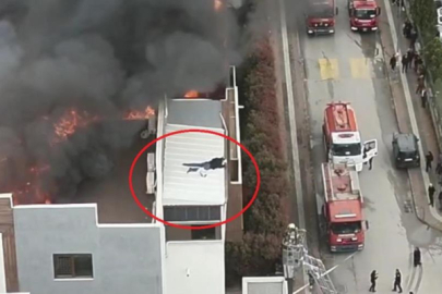 Bursa'daki can pazarında korku dolu anlar kamerada