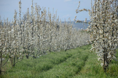 Bursa'da kartpostallık görüntüler