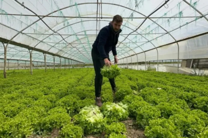 Bursa'da bu sefer tarladan güzel haber geldi...
