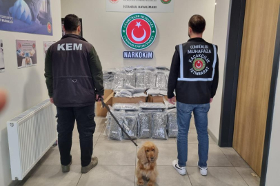 Gümrükte 378 milyonluk dev uyuşturucu operasyonu