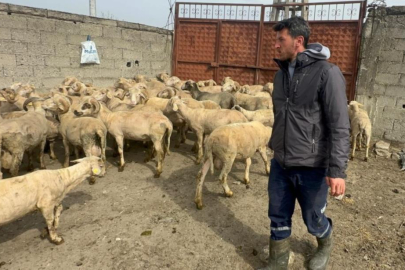 Kurbanlık parasıyla evlenmişti şimdi doğacak bebeği için kullanacak