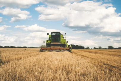 Tarım-GFE yıllık yüzde 31,55 arttı