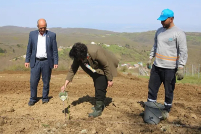 Nilüfer'de atıl araziler bereketleniyor