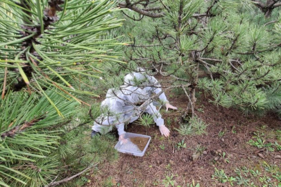 Bursa'da doğanın sessiz kahramanları görev başında