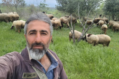 Çeşme sakızı ile Fransız koçunu birleştirdi, verimi katladı