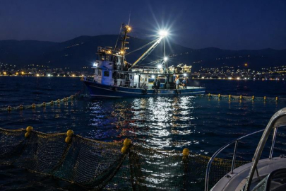 Gemlik Körfezi'nde sardalya avcılığı başladı