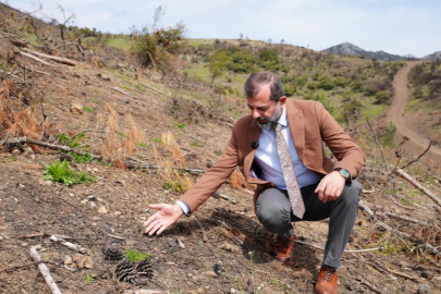 Başkan Işık’tan yeşil Gürsu çağrısı