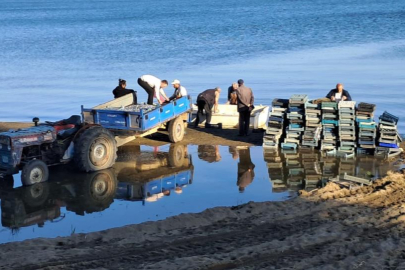İznik Gölü’nde bereketli sezon...Gümüş balığında yüzler gülüyor