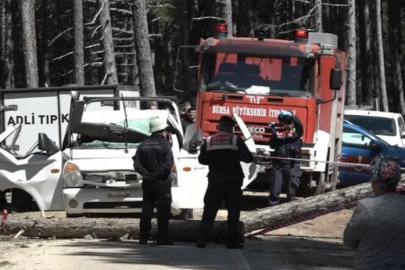 Bursa'da işe giderken ağaç altında can verdi